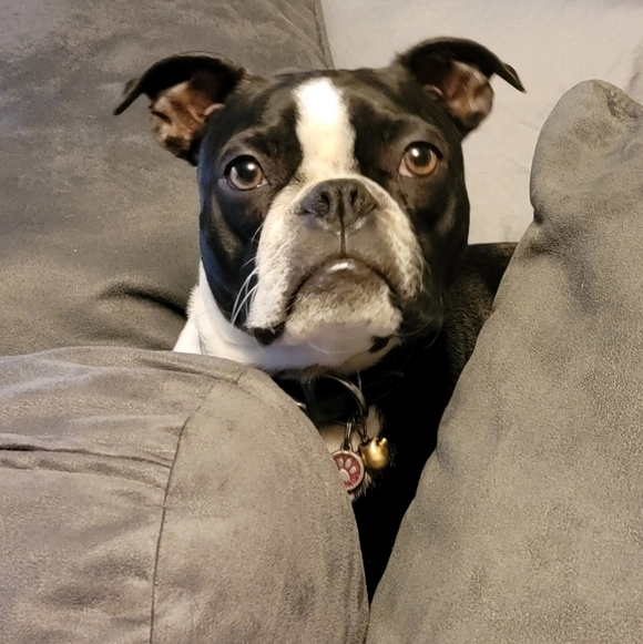 Meet your Posher, Tiff - Picture 15 of 15